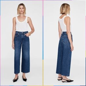 Anine Bing Rick Wide Leg Jeans in Azure Blue